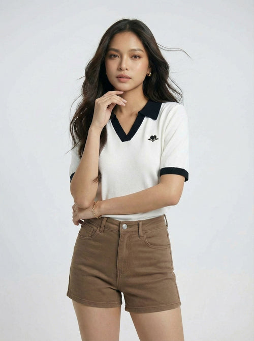 Color Block Embroidered Casual V-Neck Polo T-Shirt